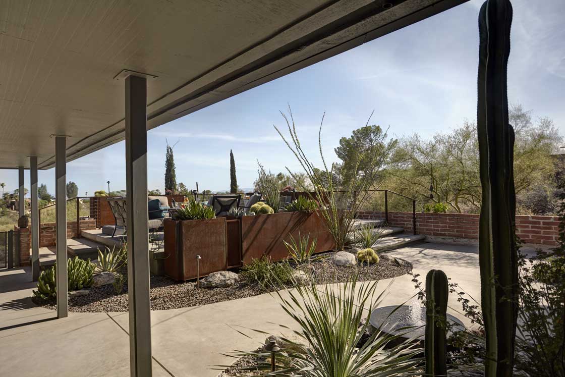 Unveiling a modern masterpiece: Landscape design in the southern Arizona desert
