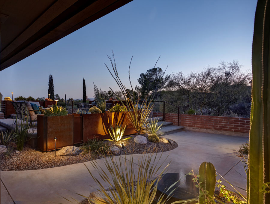 drought-tolerant landscape design