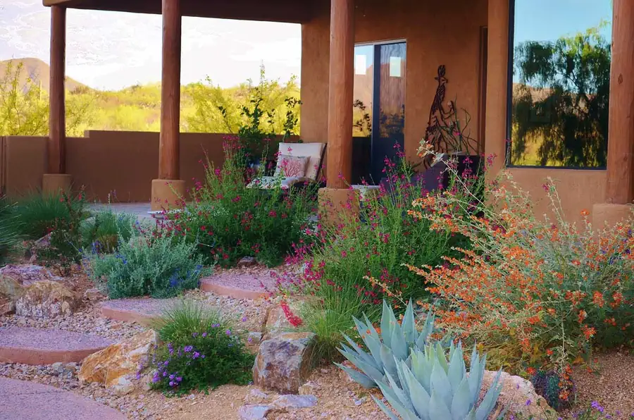 Landscape Design for Heat-Ready Outdoor Living in Tucson