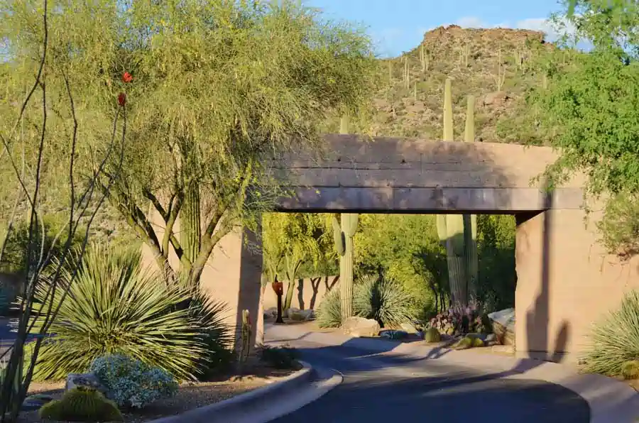 Landscape renovation project in Tucson