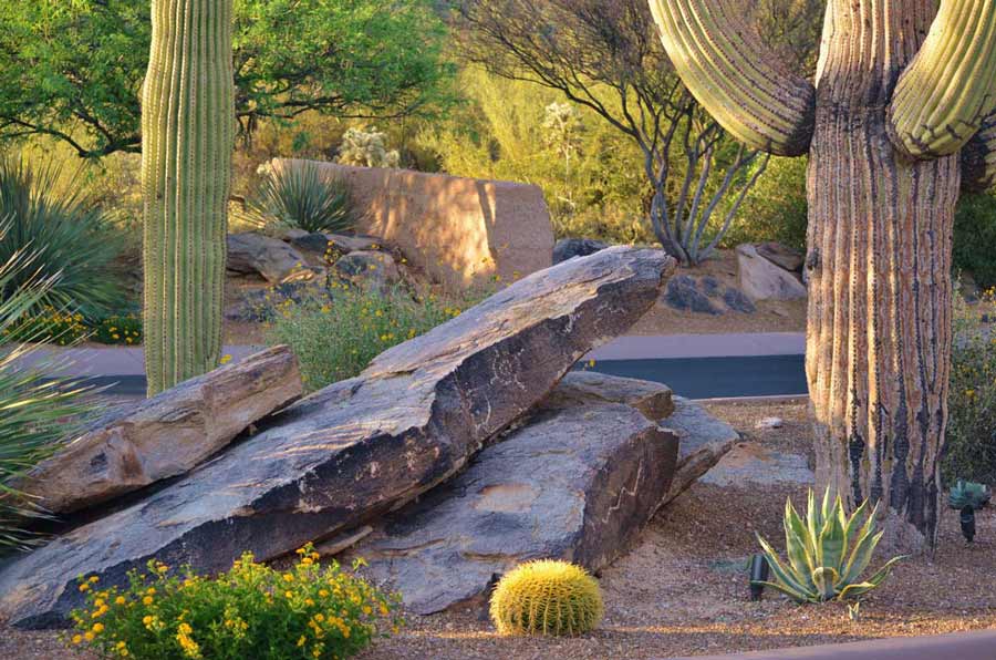 Southwest landscape materials used by a Landscape architect in Tucson