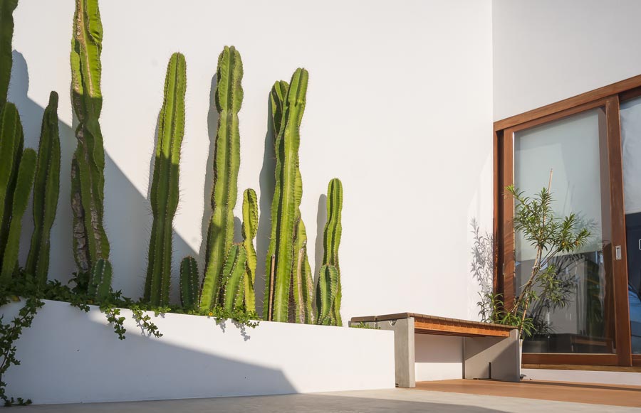 Landscape Design West luxury Tucson estate showcasing permaculture design with rain-harvesting basins, native desert plants, and ambient lighting