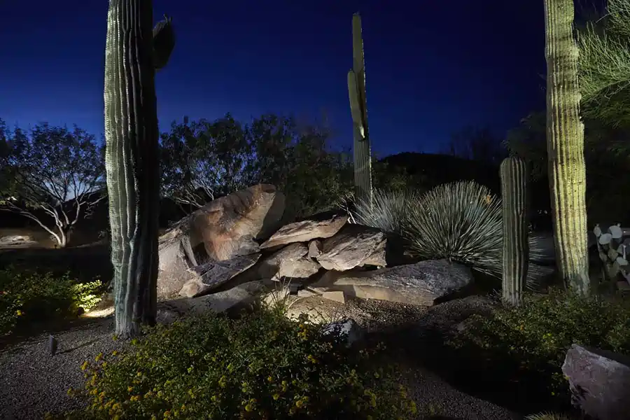 View of outdoor landscape lighting in Tucson, designed by a landscaping architect